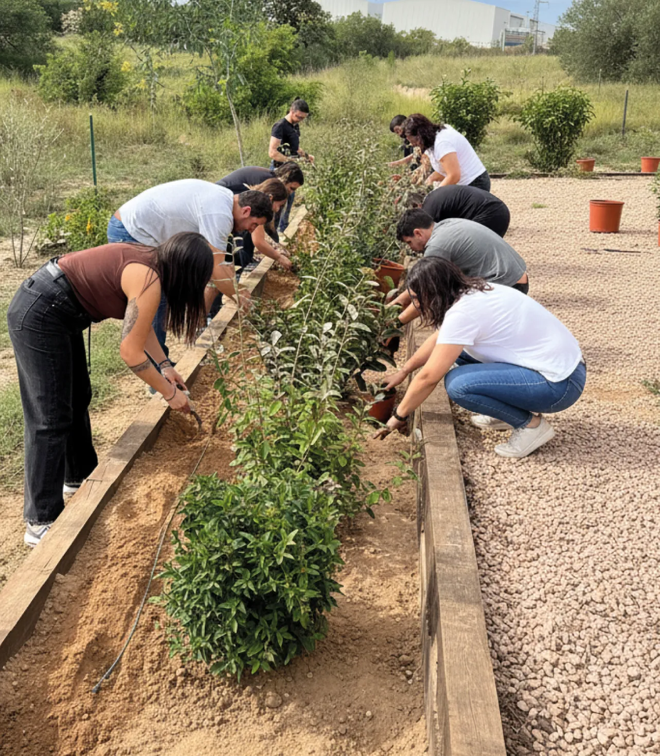 Grupo de personas plantando en un huerto elevado de Parque Felisa