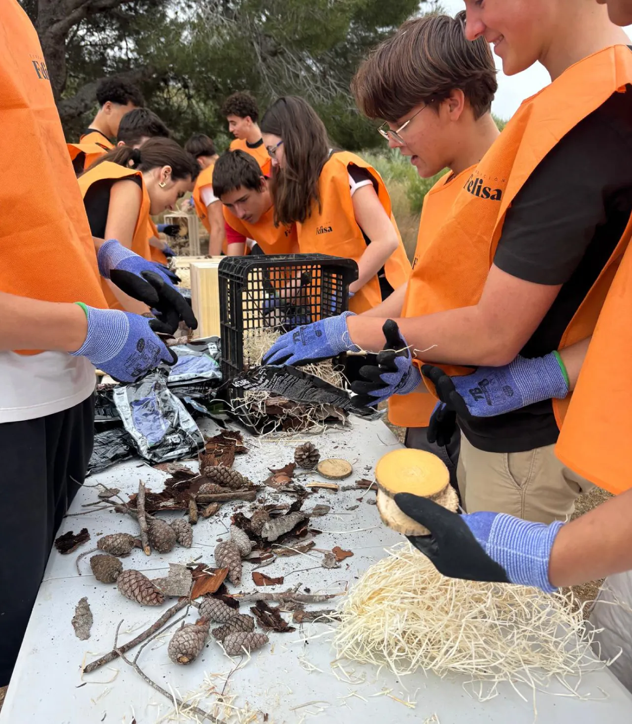 Estudiantes con chalecos de Fundación Felisa clasificando piñas y madera sobre una mesa