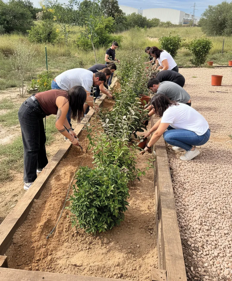 Grupo de voluntariado corporativo plantando en el Parque Felisa